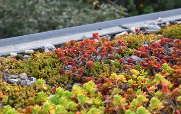 the cost of Cwmbelan green roof installation