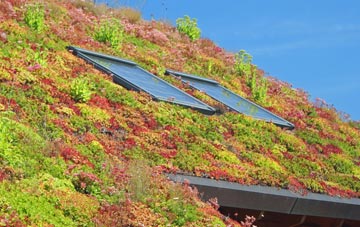 Cwmbelan living roof systems